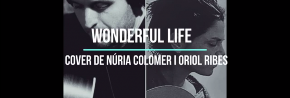 Núria Colomer i el seu professor Oriol Ribes ens presenten el seu treball. «Wonderful Life»